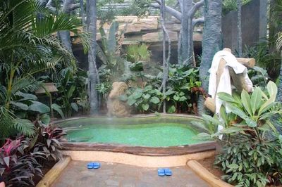 GH81春日之旅 踏青祈福，温泉山庄悠享时光